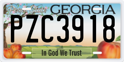 GA license plate PZC3918