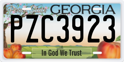 GA license plate PZC3923