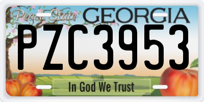 GA license plate PZC3953