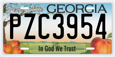 GA license plate PZC3954