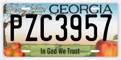 GA license plate PZC3957