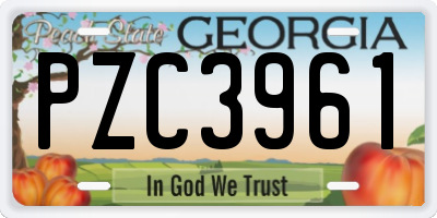 GA license plate PZC3961