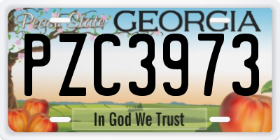 GA license plate PZC3973