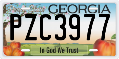 GA license plate PZC3977