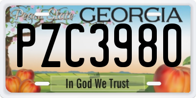 GA license plate PZC3980