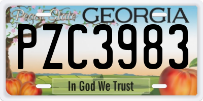 GA license plate PZC3983