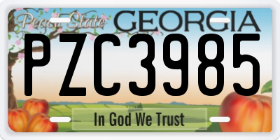 GA license plate PZC3985
