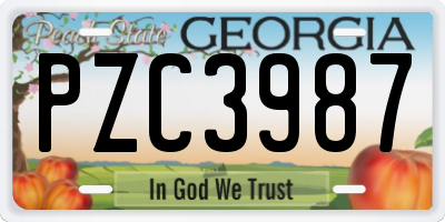 GA license plate PZC3987