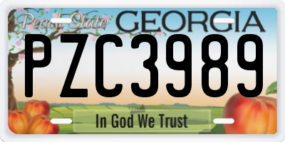 GA license plate PZC3989