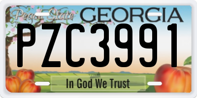 GA license plate PZC3991