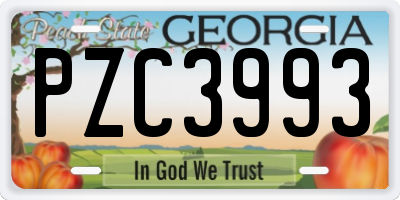 GA license plate PZC3993
