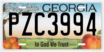 GA license plate PZC3994