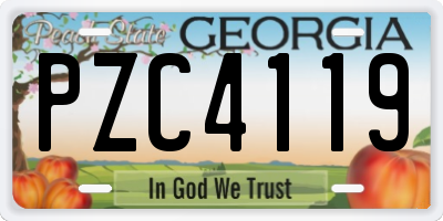 GA license plate PZC4119