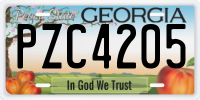 GA license plate PZC4205