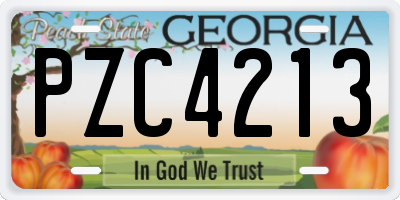 GA license plate PZC4213
