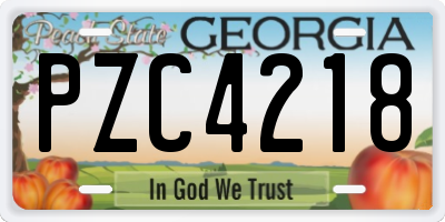 GA license plate PZC4218