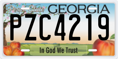 GA license plate PZC4219