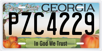 GA license plate PZC4229