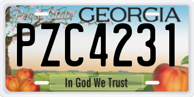 GA license plate PZC4231