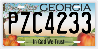 GA license plate PZC4233