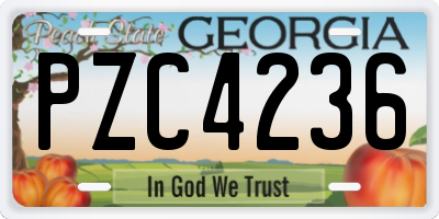 GA license plate PZC4236