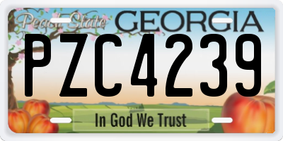 GA license plate PZC4239