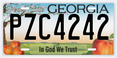 GA license plate PZC4242
