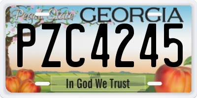 GA license plate PZC4245