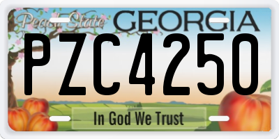 GA license plate PZC4250