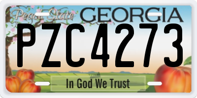 GA license plate PZC4273