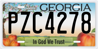 GA license plate PZC4278