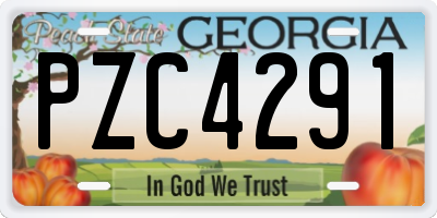 GA license plate PZC4291