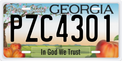 GA license plate PZC4301