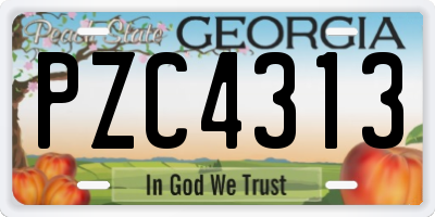 GA license plate PZC4313