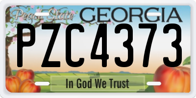 GA license plate PZC4373