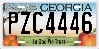 GA license plate PZC4446