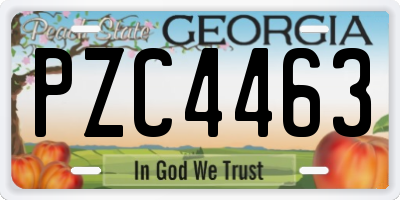 GA license plate PZC4463