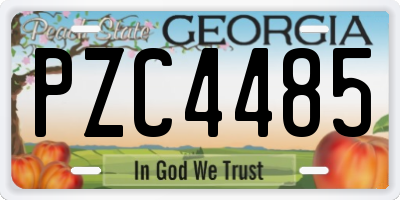 GA license plate PZC4485