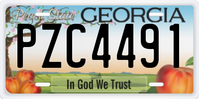 GA license plate PZC4491