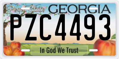GA license plate PZC4493