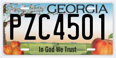 GA license plate PZC4501