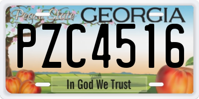 GA license plate PZC4516