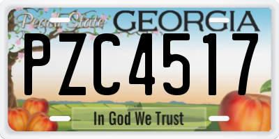 GA license plate PZC4517