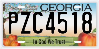 GA license plate PZC4518