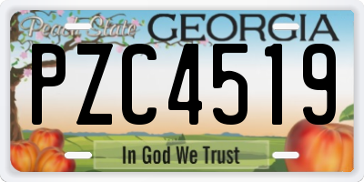 GA license plate PZC4519