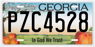 GA license plate PZC4528