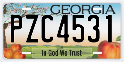 GA license plate PZC4531