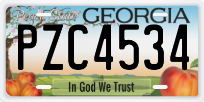 GA license plate PZC4534