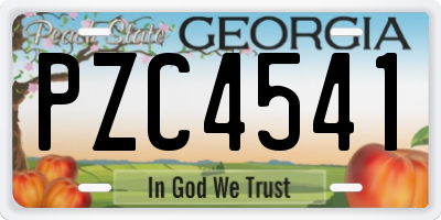 GA license plate PZC4541
