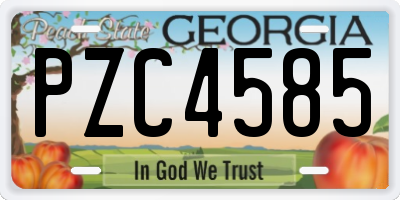 GA license plate PZC4585